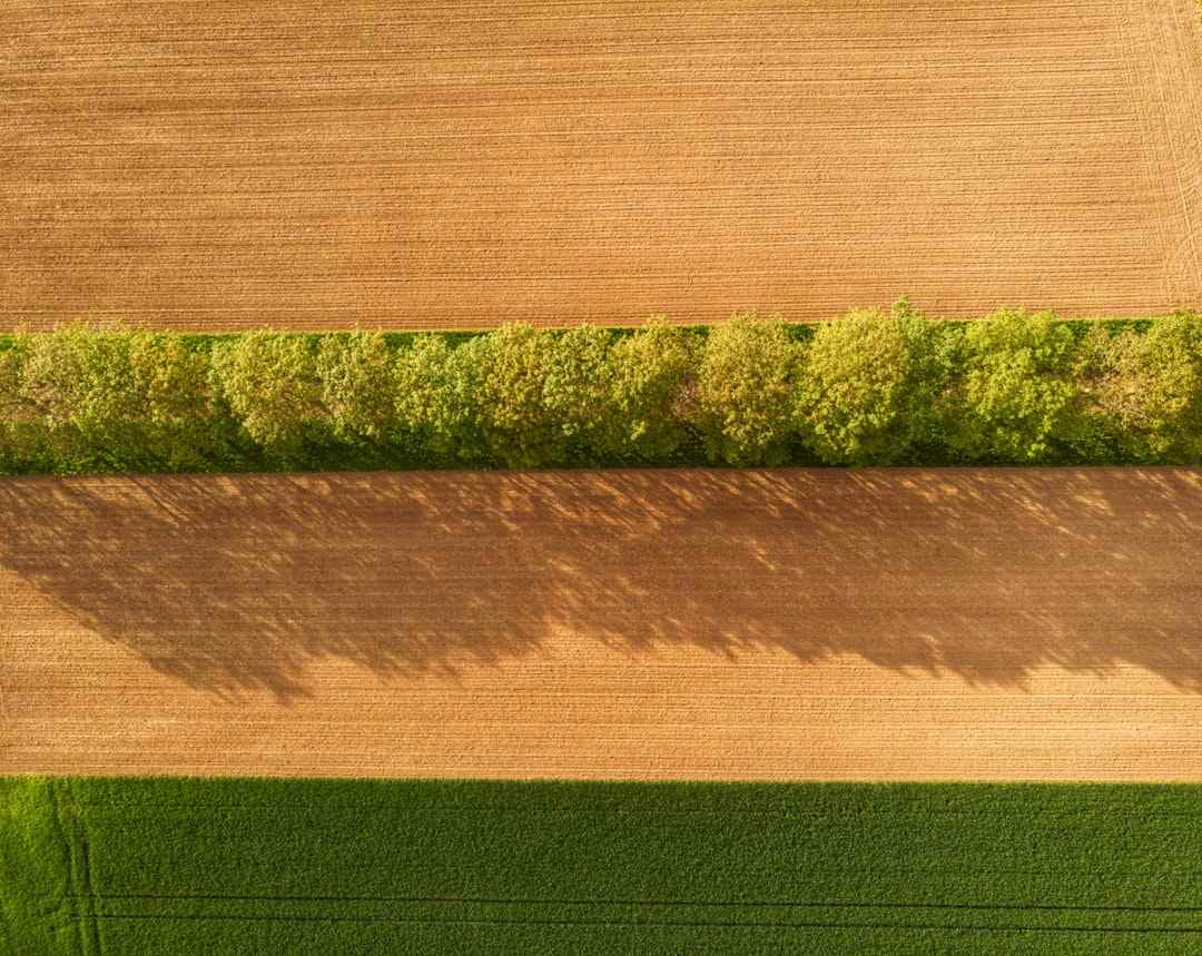 Certifikace Claas